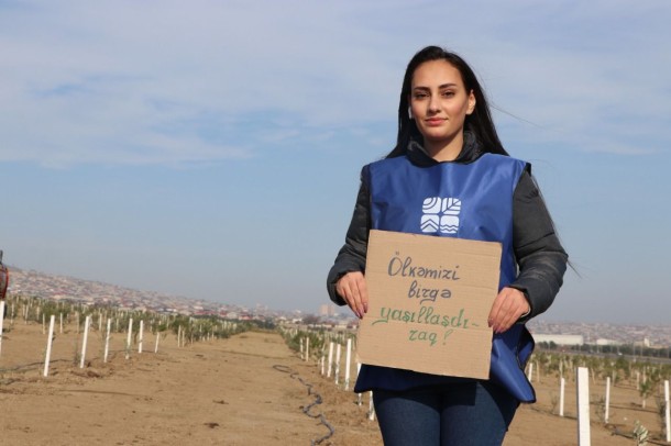 "Yaşıl Marafon" ağacəkmə kampaniyasında digər qurumlar da iştirak edir - FOTOLAR